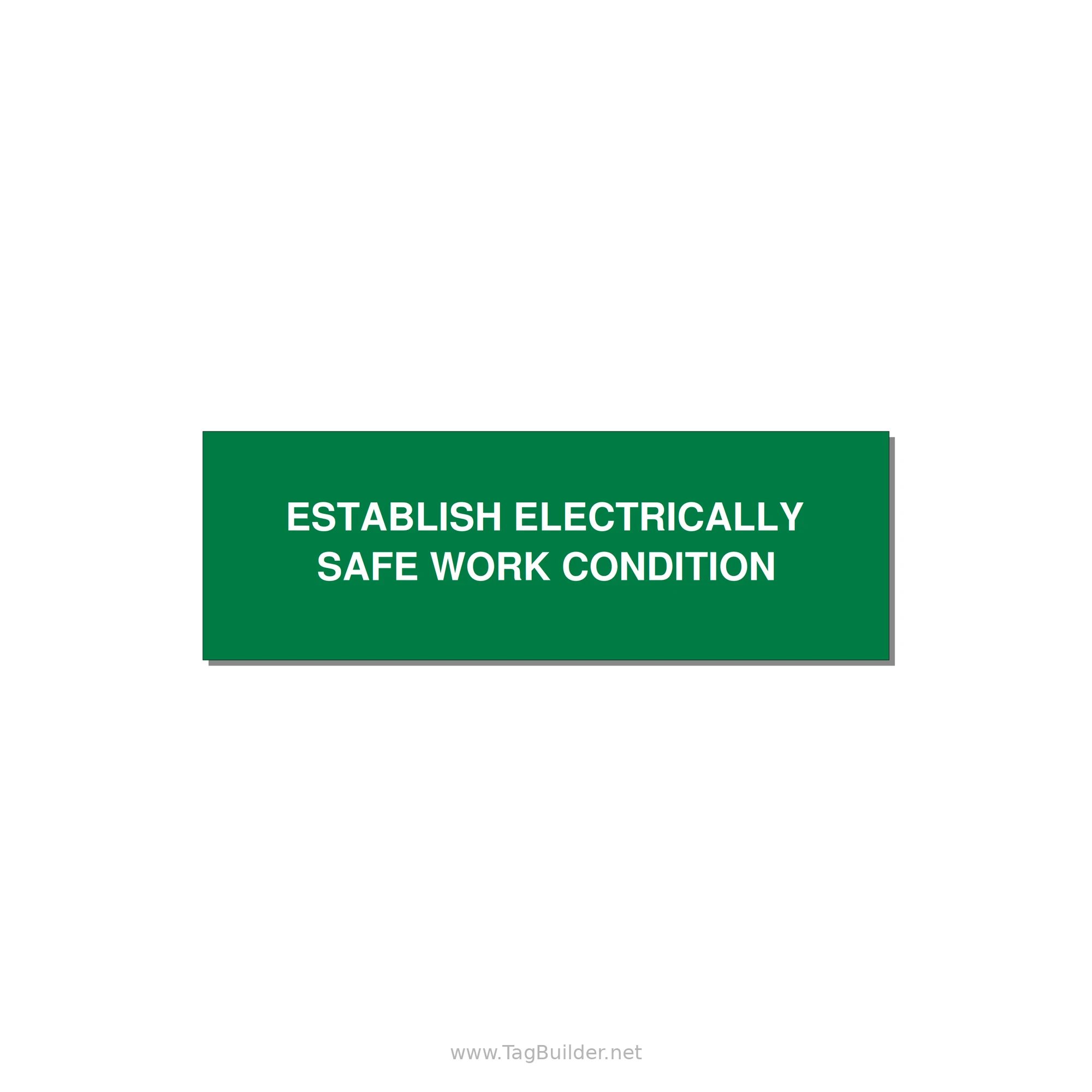 3.0x1.0" Electrical Safety Label - ESTABLISH ELECTRICALLY SA — 3x1" White on Green, Holes