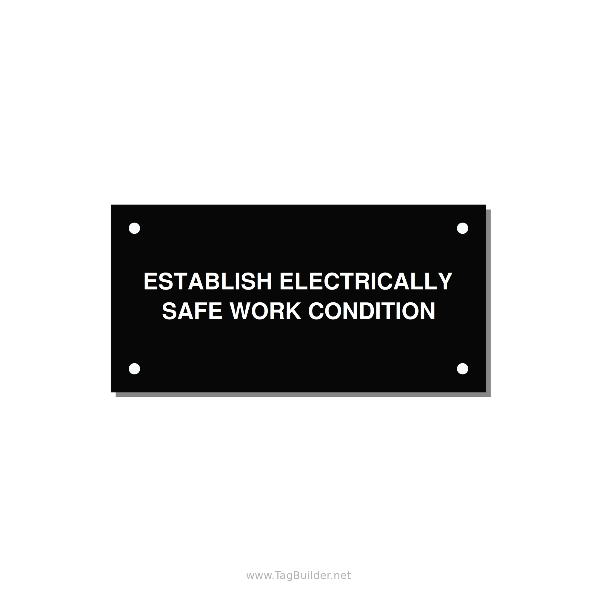 4.0x2.0" Electrical Safety Label - ESTABLISH ELECTRICALLY SA — 4x2" White on Black, Holes