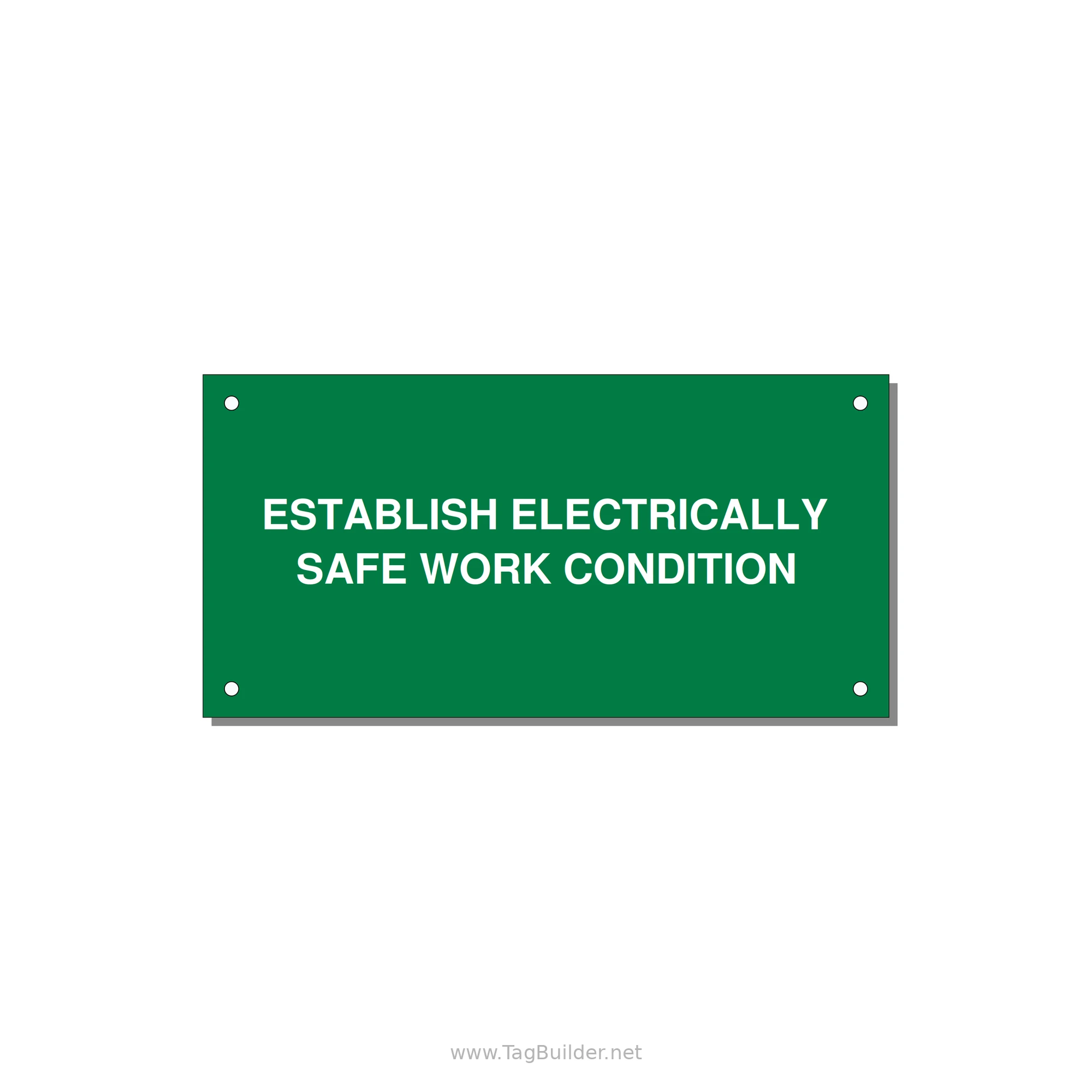 6.0x3.0" Electrical Safety Label - ESTABLISH ELECTRICALLY SA — 6x3" White on Green, Holes