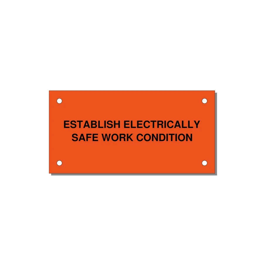 4.0x2.0" Electrical Safety Label - ESTABLISH ELECTRICALLY SA — 4x2" Black on Orange, Holes