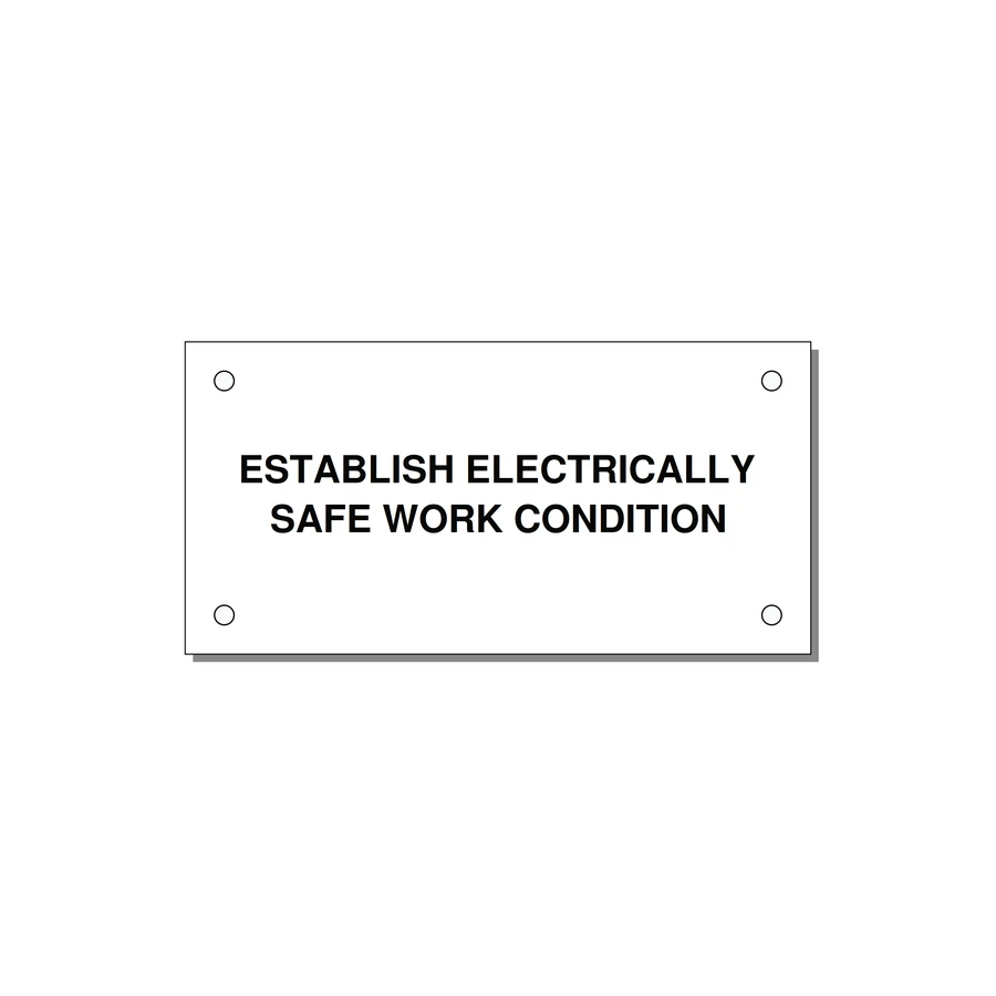 4.0x2.0" Electrical Safety Label - ESTABLISH ELECTRICALLY SA — 4x2" Black on White, Holes