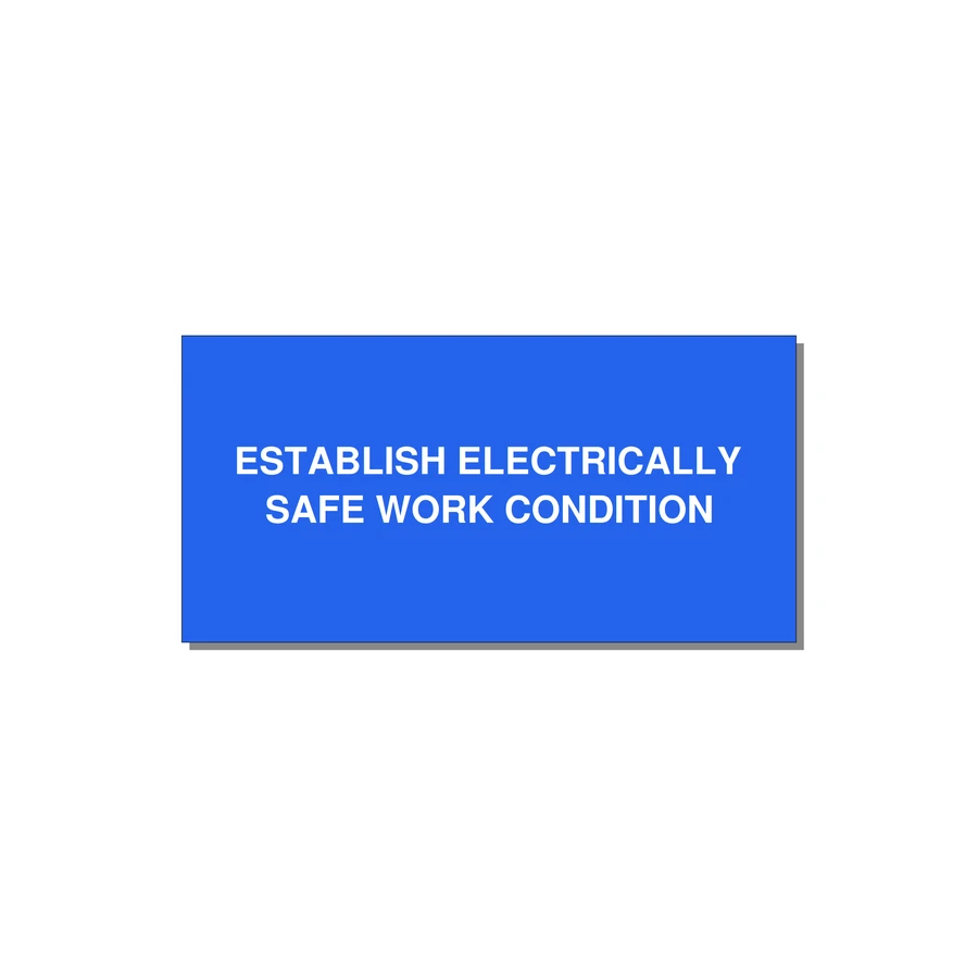 4.0x2.0" Electrical Safety Label - ESTABLISH ELECTRICALLY SA — 4x2" White on Blue, Adhesive