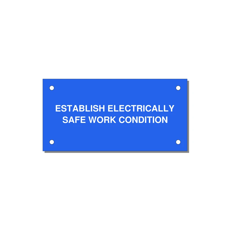 4.0x2.0" Electrical Safety Label - ESTABLISH ELECTRICALLY SA — 4x2" White on Blue, Holes