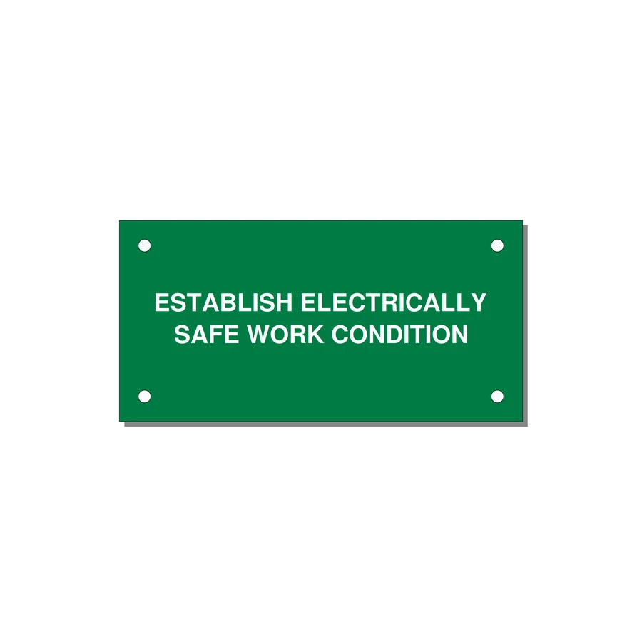 4.0x2.0" Electrical Safety Label - ESTABLISH ELECTRICALLY SA — 4x2" White on Green, Holes