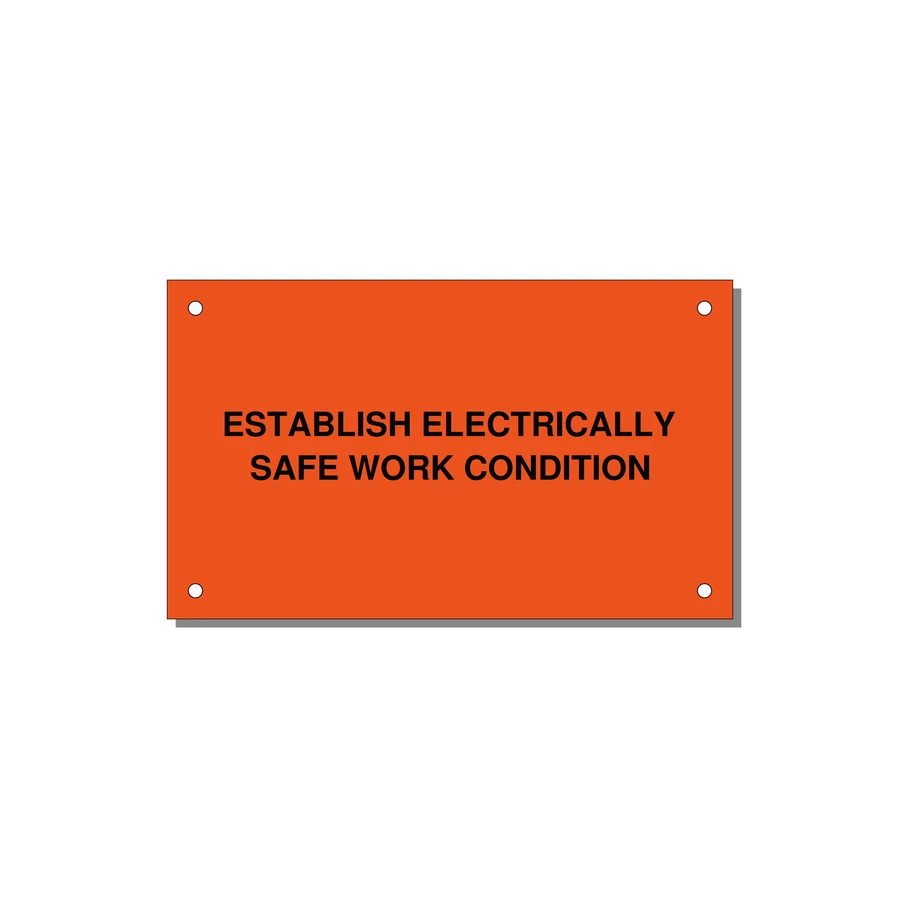 5.0x3.0" Electrical Safety Label - ESTABLISH ELECTRICALLY SA — 5x3" Black on Orange, Holes