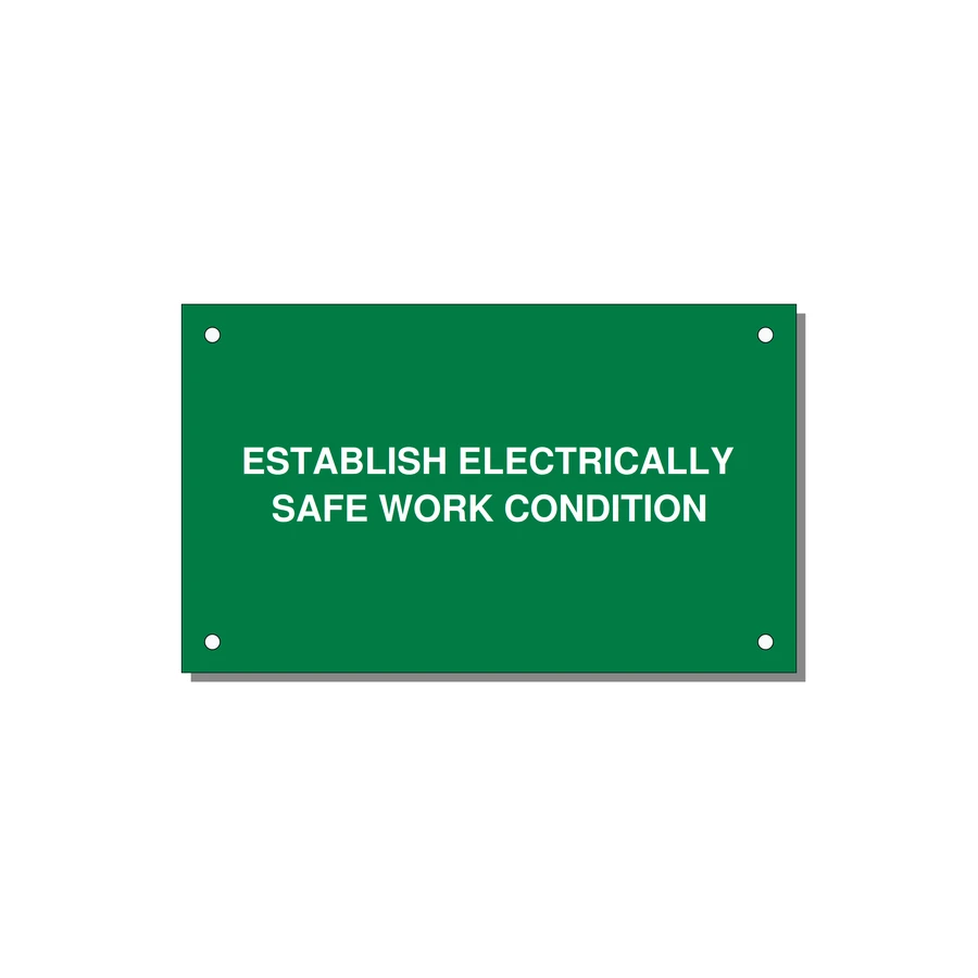 5.0x3.0" Electrical Safety Label - ESTABLISH ELECTRICALLY SA — 5x3" White on Green, Holes