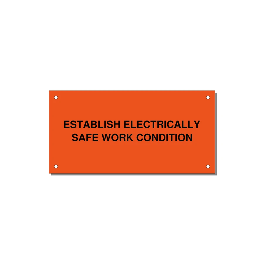 6.0x3.0" Electrical Safety Label - ESTABLISH ELECTRICALLY SA — 6x3" Black on Orange, Holes