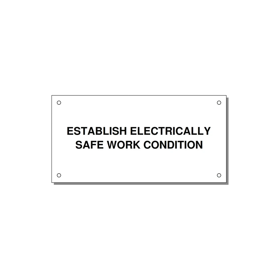 6.0x3.0" Electrical Safety Label - ESTABLISH ELECTRICALLY SA — 6x3" Black on White, Holes