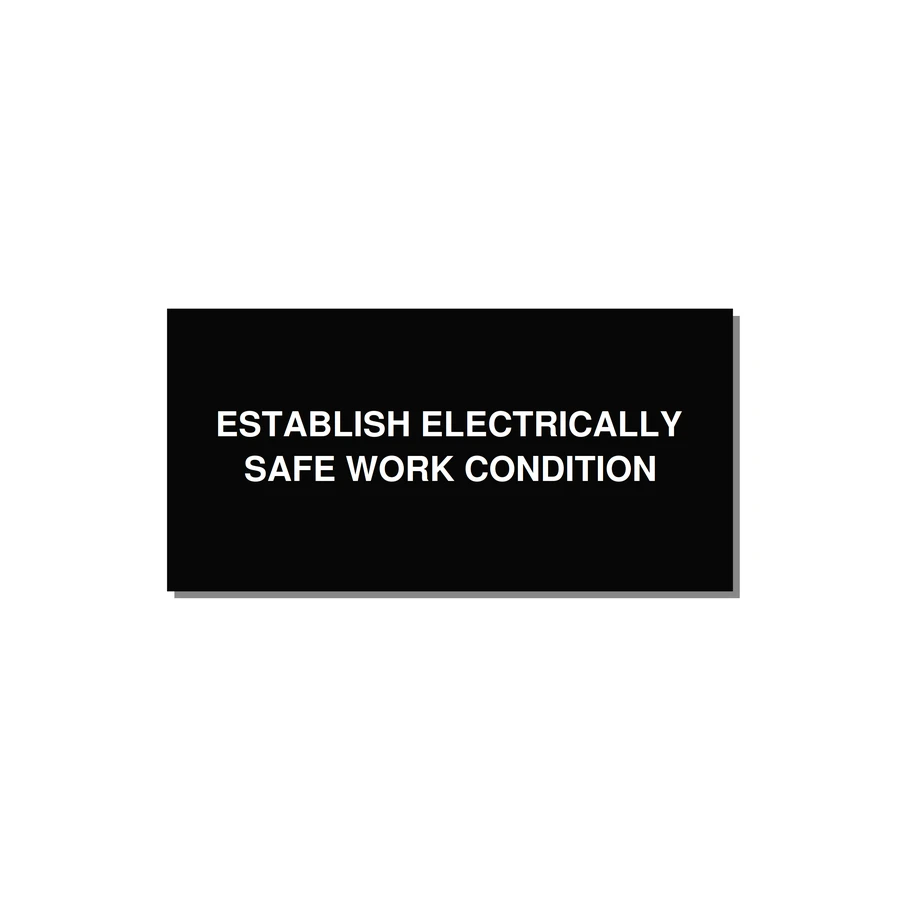 6.0x3.0" Electrical Safety Label - ESTABLISH ELECTRICALLY SA — 6x3" White on Black, Adhesive