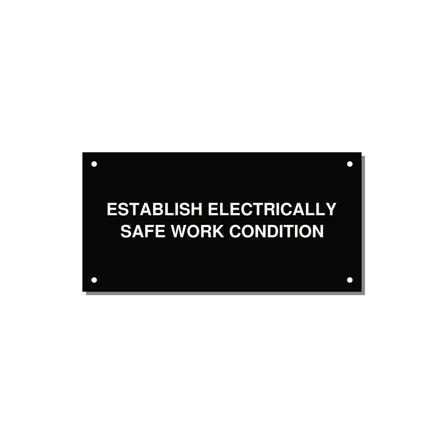 6.0x3.0" Electrical Safety Label - ESTABLISH ELECTRICALLY SA — 6x3" White on Black, Holes