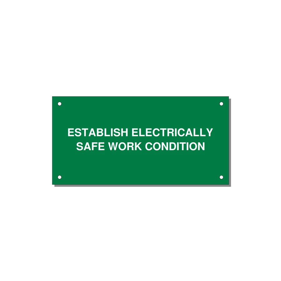 6.0x3.0" Electrical Safety Label - ESTABLISH ELECTRICALLY SA — 6x3" White on Green, Holes