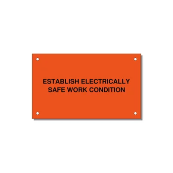 5.0x3.0" Electrical Safety Label - ESTABLISH ELECTRICALLY SA — 5x3" Black on Orange, Holes