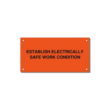 6.0x3.0" Electrical Safety Label - ESTABLISH ELECTRICALLY SA — 6x3" Black on Orange, Holes