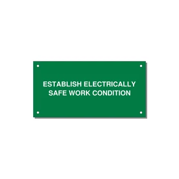 6.0x3.0" Electrical Safety Label - ESTABLISH ELECTRICALLY SA — 6x3" White on Green, Holes